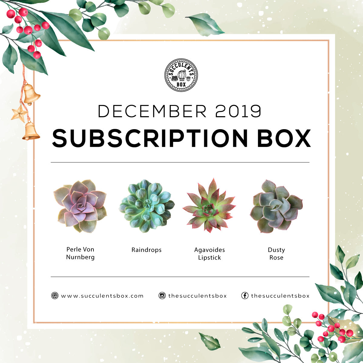 DECEMBER 2019 BOX