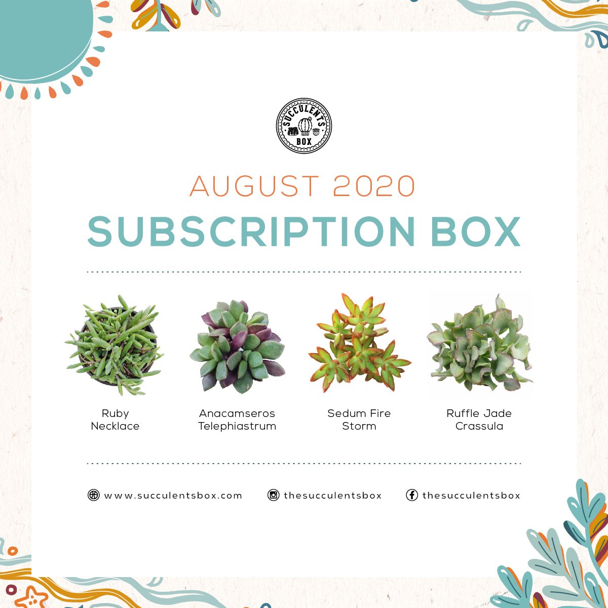 AUGUST BOX 2020