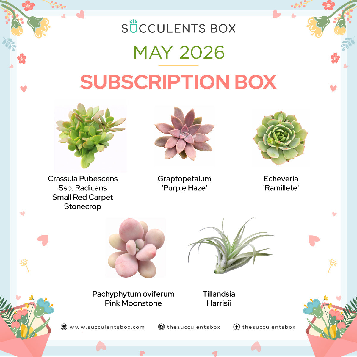 May 2026 Box