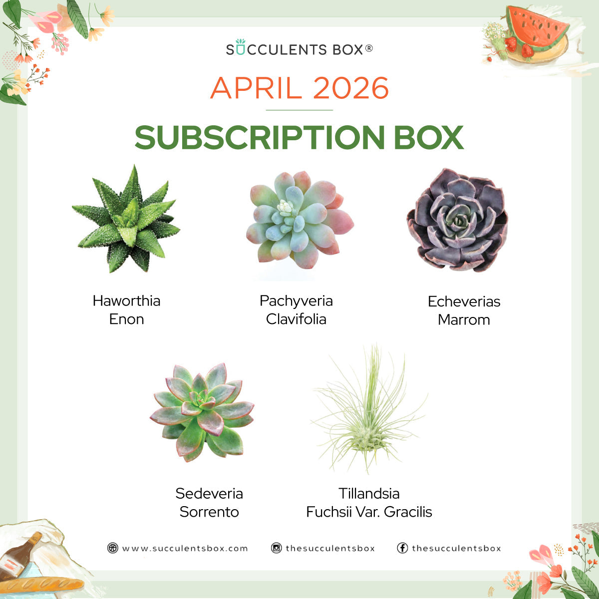 April 2026 Box