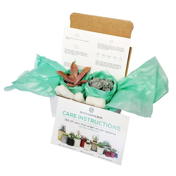 Succulent Subscription