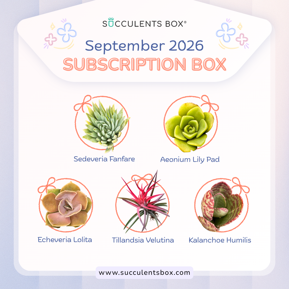 September 2026 Box
