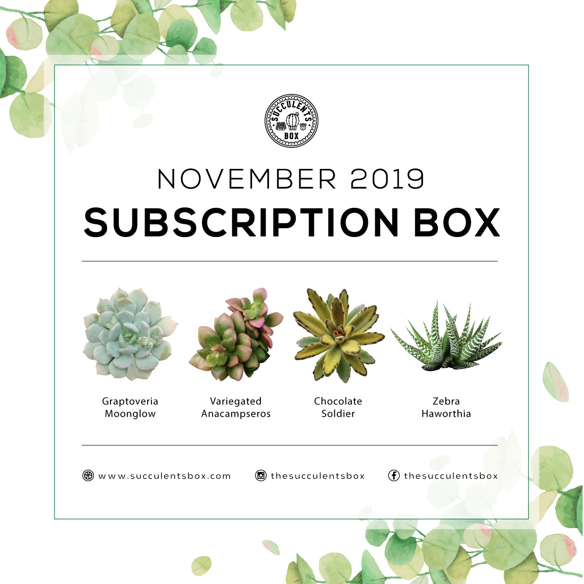 November 2019 Box