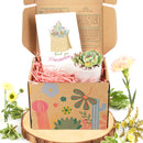 holiday and christmas postcards for sale, christmas postcards ideas 2025, christmas postcards near me