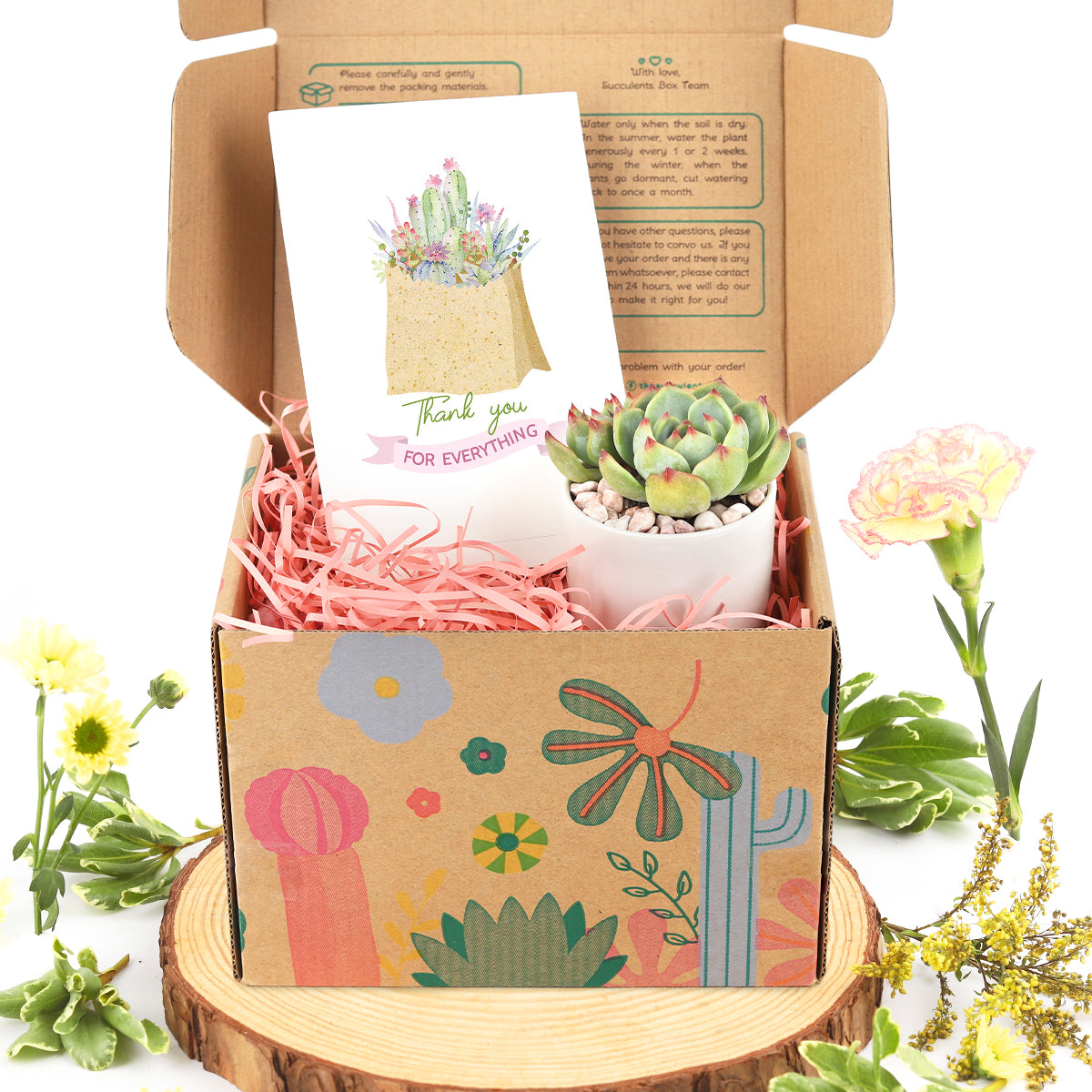 Succulent Gift Box for Mother's Day, Thank You Mom Gift Ideas, Live Plants as Gifts