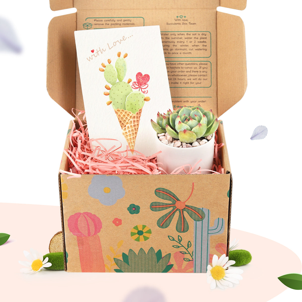 succulents gift box, gifts ideas 2025, gift for plant lovers, gift boxes ideas 2025