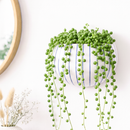 Wim Wall Planter Pair