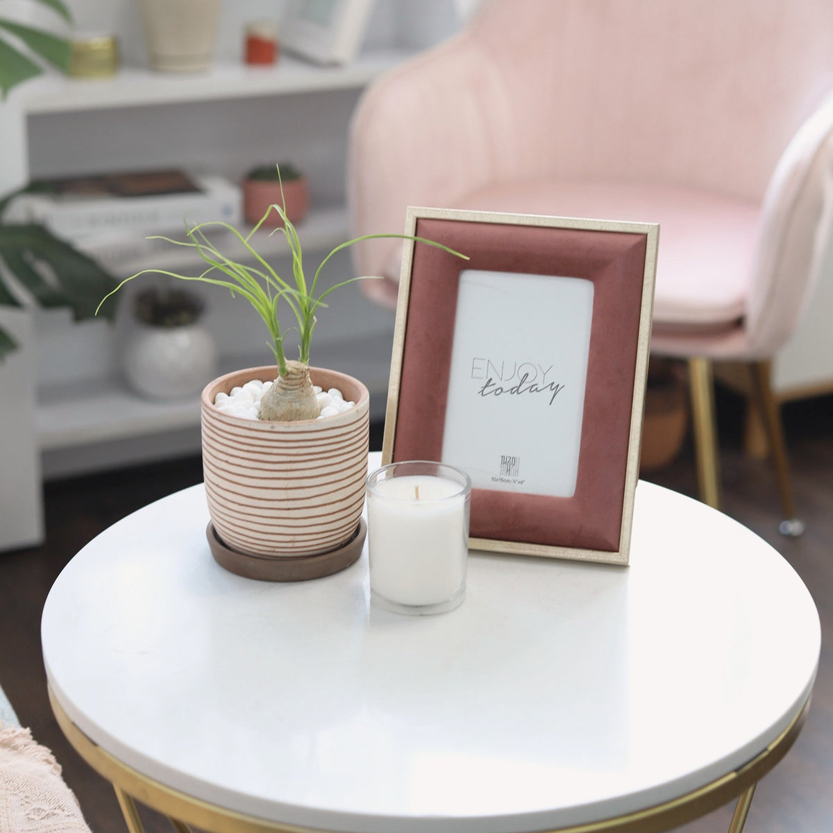 Ponytail Palm plant in decorative planter, Indoor plant decor ideas