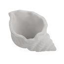 cement air plant holder, seashell air plant holder, Mini Air Plant Holder for sale, buy Cement Seashell Mini Air Plant Holder online, Mini Air Plant display ideas, air plant holder, seashell air plant holder for home and office decor