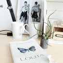 bulbosa belize, tillandsia ionantha rubra, where belize, where belize located, ionantha rubra, bulbosa, who colonized belize, bulbosa belize air plant