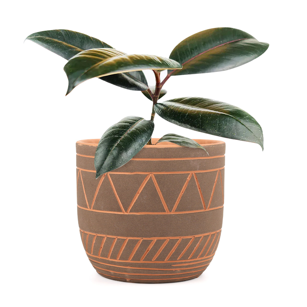5.5 inch Black-Clay Color Geometric Pattern Pot for sale, Decorative Pot for houseplants, Buy large planter for houseplants online