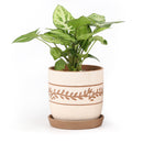 Horizontal Leaf Pattern Pot, terracotta pot, unique terracotta pots