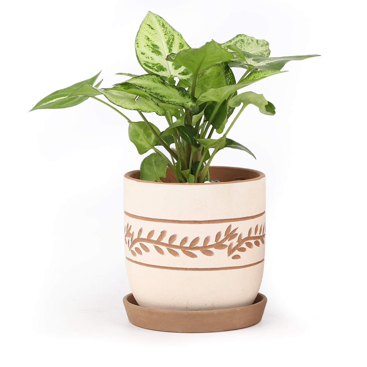 White Clay Horizontal Leaf Pattern Pot for sale, Large terracotta pot for planting succulents and houseplants