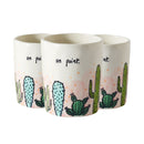 2 inch succulent pots, 2 inch pots for plants, 2&quot; plant pots, on point pot, buy succulent pot online, succulents shop in ca