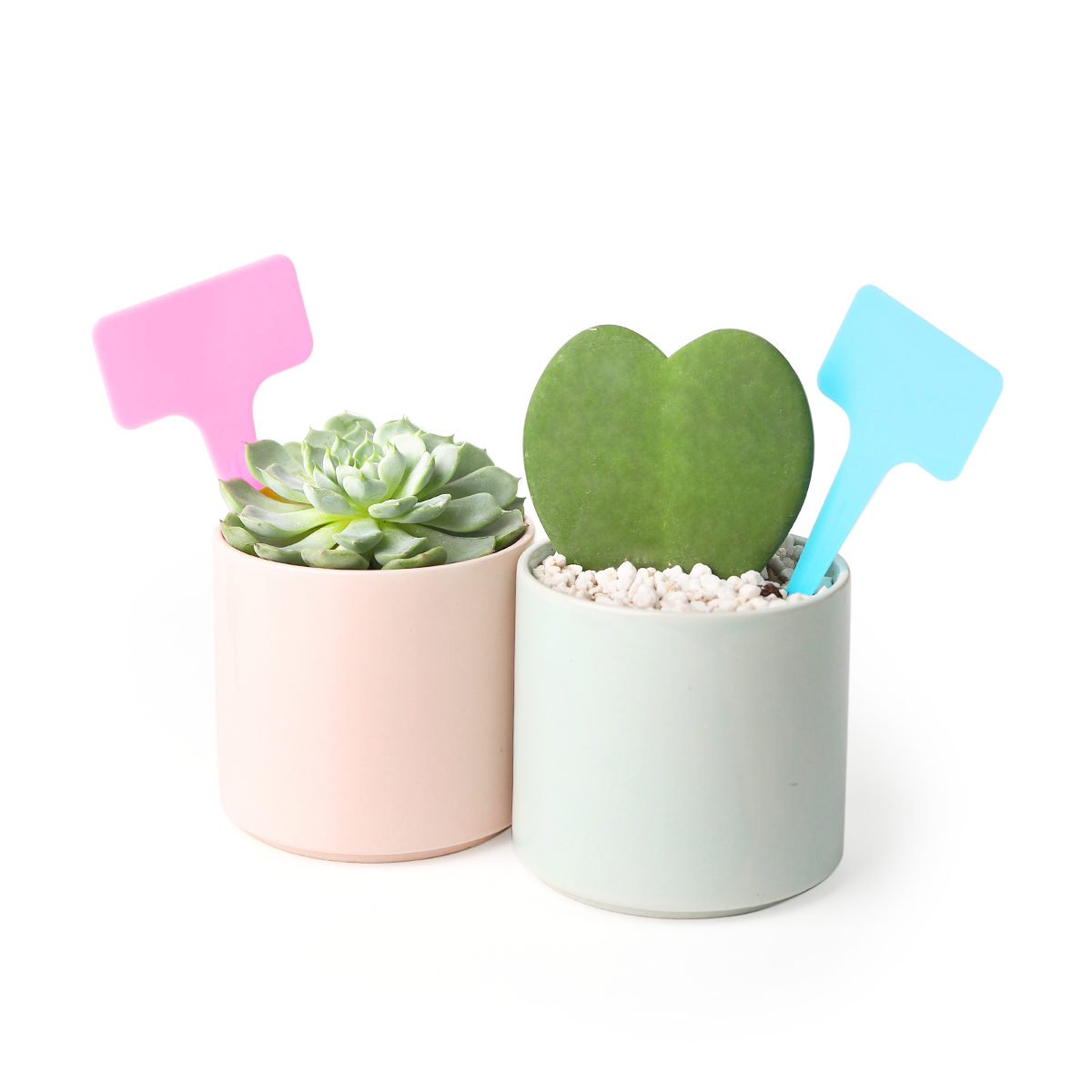 plant markers, markers for plants, garden plant markers, gardening tools