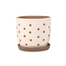 Carved polka dot clay pot for planting, Terracotta planter small and medium size for sale, 4 inch/ 5.5 inch clay pot for houseplants and succulents, Flower pot gift ideas
