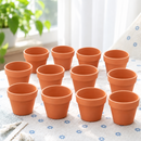 Clay Terracotta Pot Pack 6/12/24
