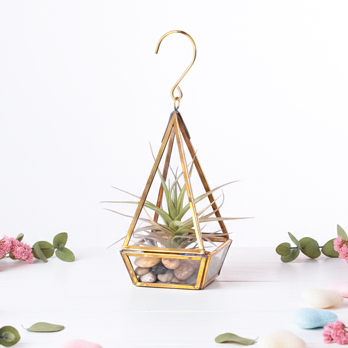 Tillandsia Prism Hanger