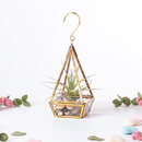 Tillandsia Prism Hanger