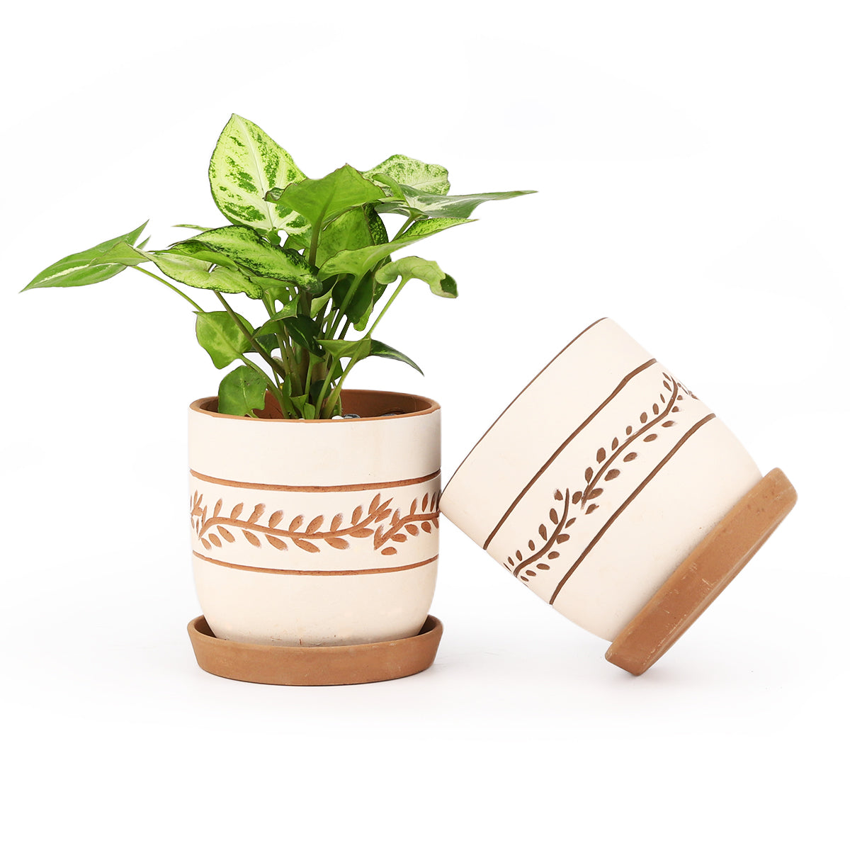 White Clay Horizontal Leaf Pattern Pot for sale online, Carving clay planter pot for sale, Terracotta pot with drainage hole and saucer for sale