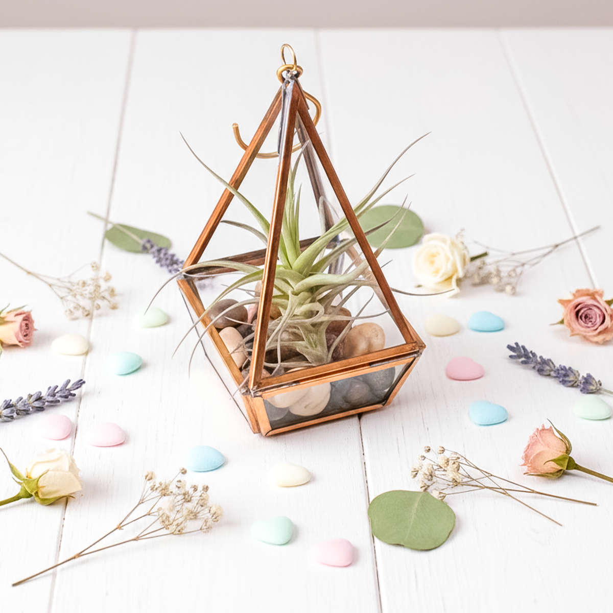 Tillandsia Prism Hanger