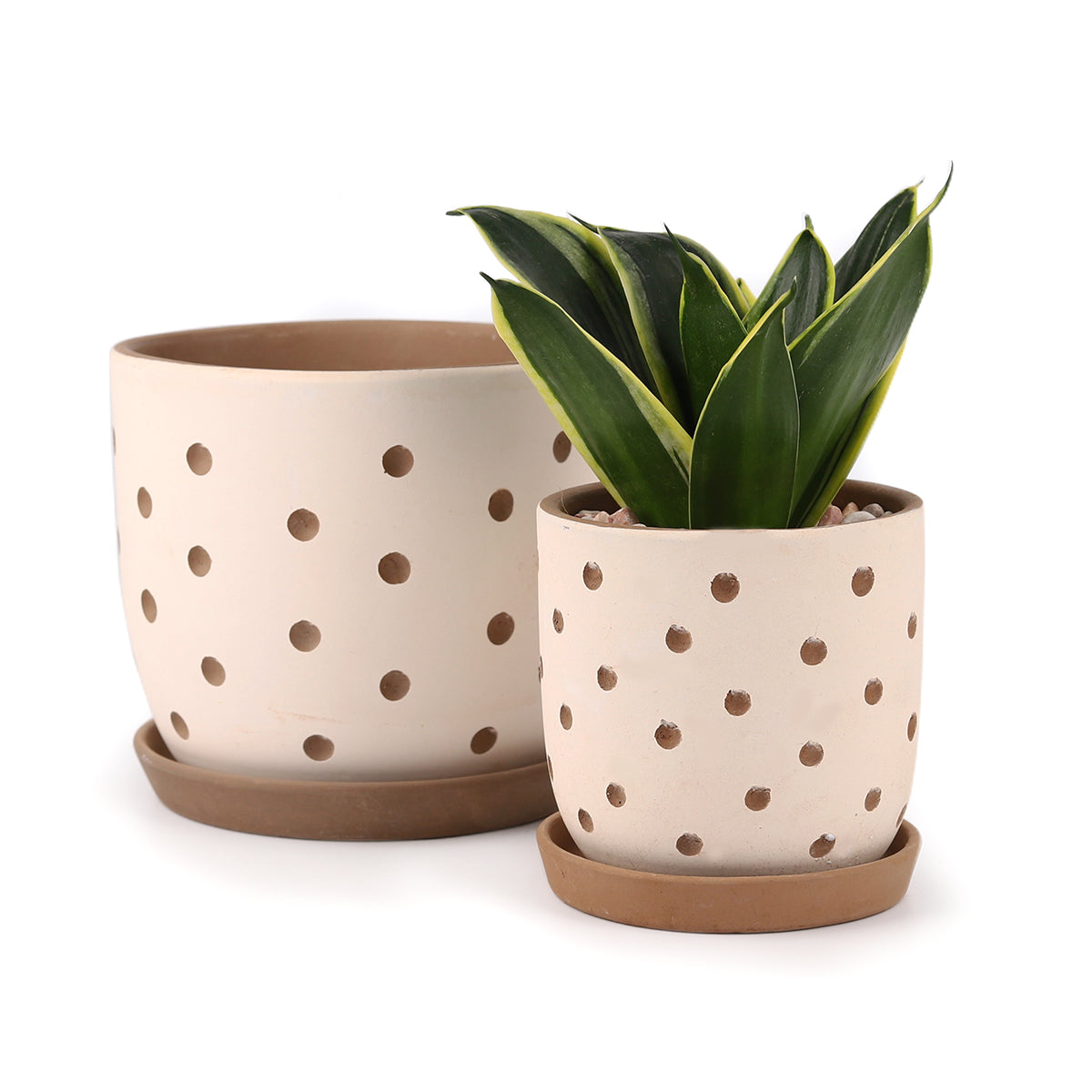 terracotta plant pots with holes Clay White Polka Dot Planter with Drainage Hole, Succulent Terracotta Pot for Sale