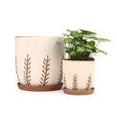 indoor terracotta planter, indoor terracotta planter for sale, buy indoor terracotta planter online, indoor terracotta planter for succulents and houseplants