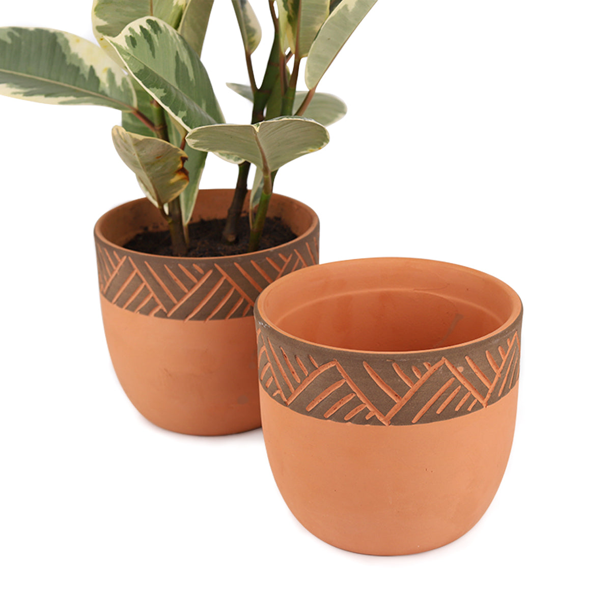 Terra Cotta Containers for live plants, Indoor Outdoor Plant Pot, 5.5 inch terracotta pot with modern design for home office
