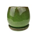 buy plant pots online, ceramic pot for sale, ceramic planter, indoor planter with saucer