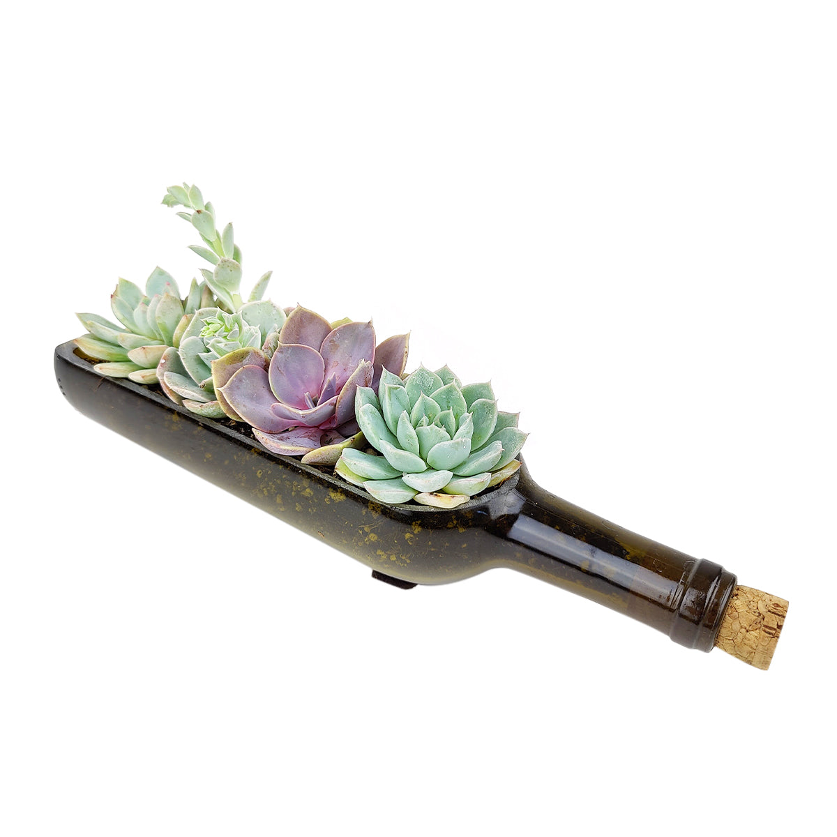 wine bottle succulent planter diy Succulent Wine Bottle Arrangement, Succulent Decoration Ideas
