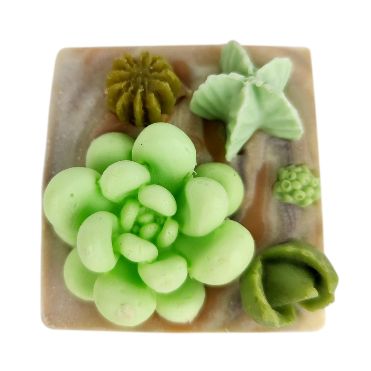 Succulent soap, succulent garden soap, succulent arrangement soap, random succulent arrangement soap, natural soap, botanical soap, handmade succulent soap, organic succulent soap
