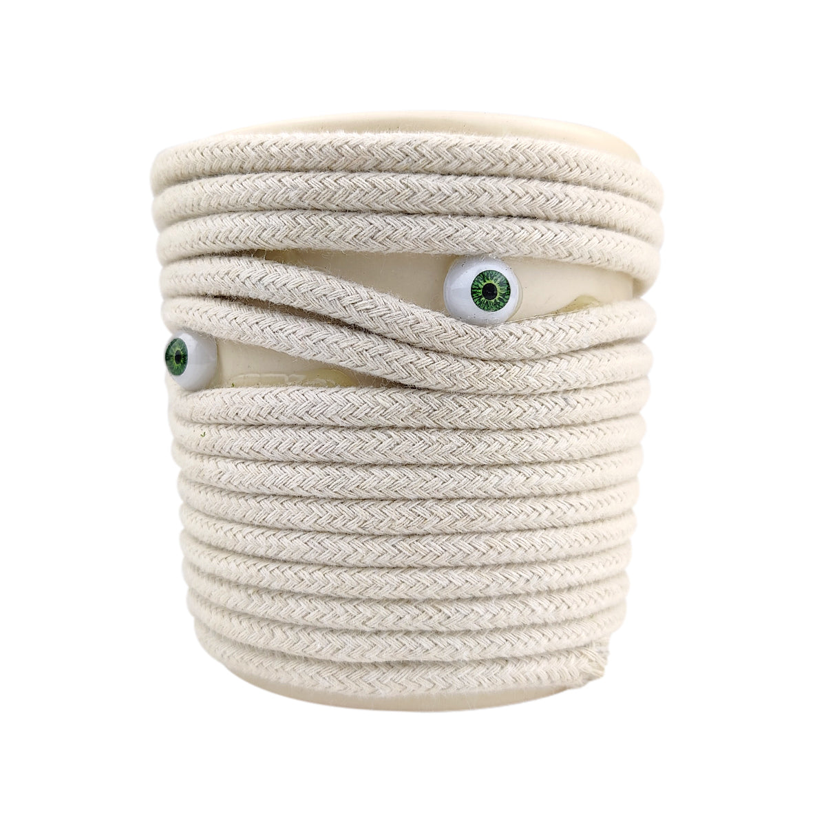 Mummy Eyes Pot, 5 inch creepy pot, succulent pots for home decoration, off-white clay pot