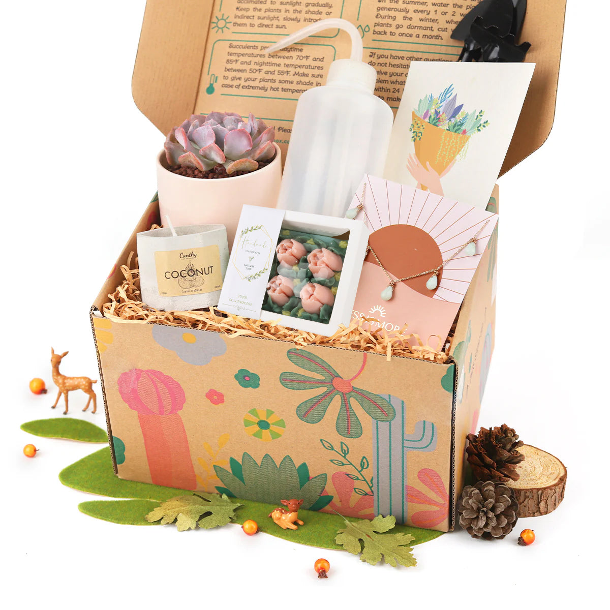 Premium Succulent Gift Box, Premium Gift Box, gift box ideas for women, gifts for holiday, gift boxes for sale 2025