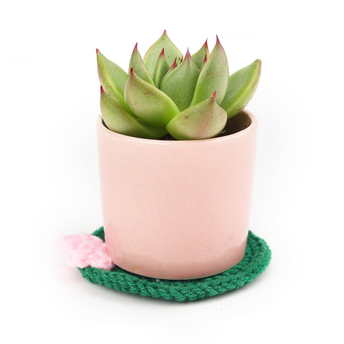 Crocheted Cactus Coaster