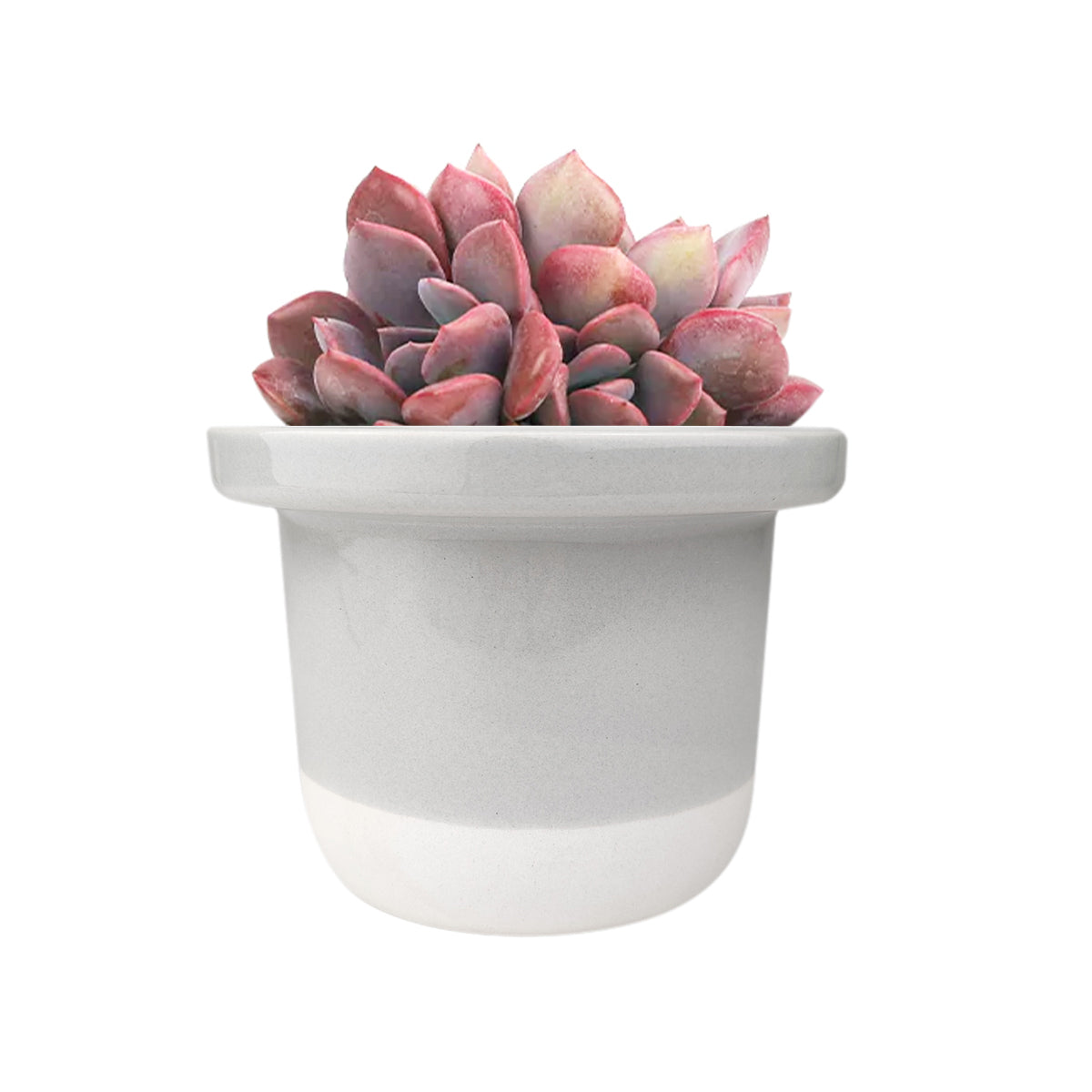 Grey And White Ceramic Pot, unique planters, pots for succulents and cacti, modern pots for home decor