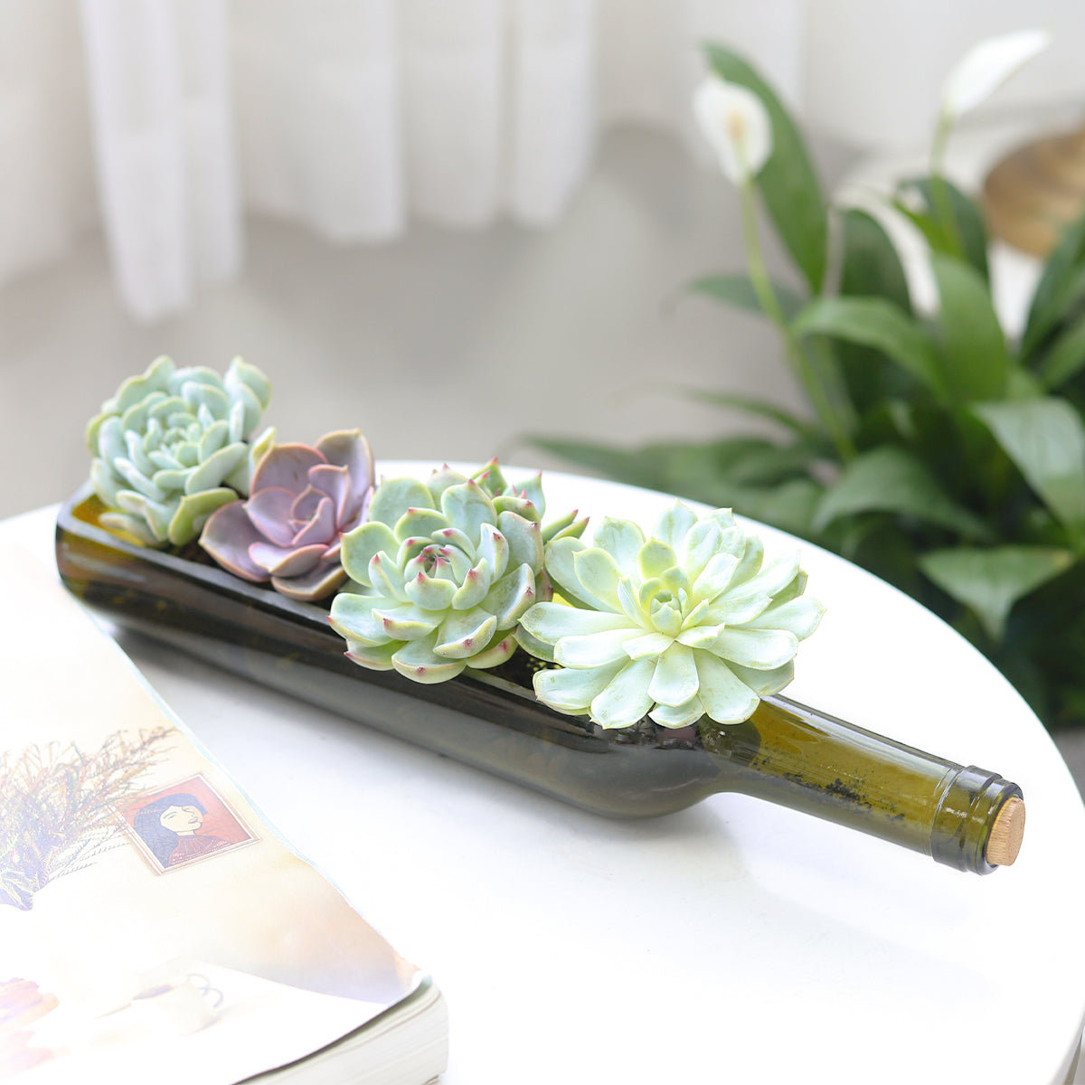 succulents in bottles Succulent Wine Bottle Arrangement, Succulent Decoration Ideas