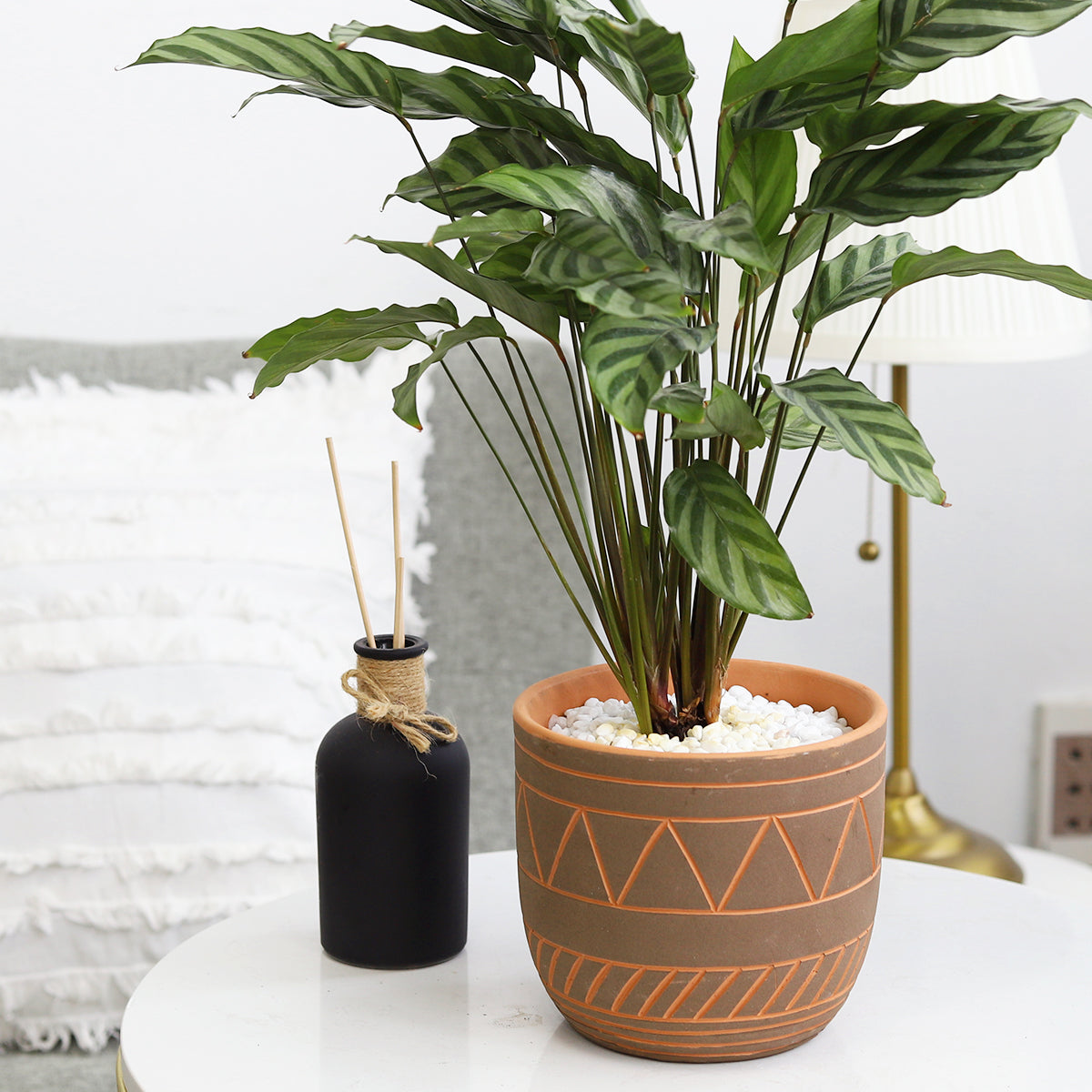 black clay plant pots 5.5 inch Black-Clay Color Geometric Pattern Pot for Sale