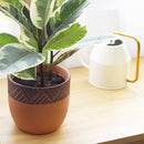 Terra Cotta Containers for live plants, Indoor Outdoor Plant Pot, 5.5 inch terracotta pot with modern design for home office