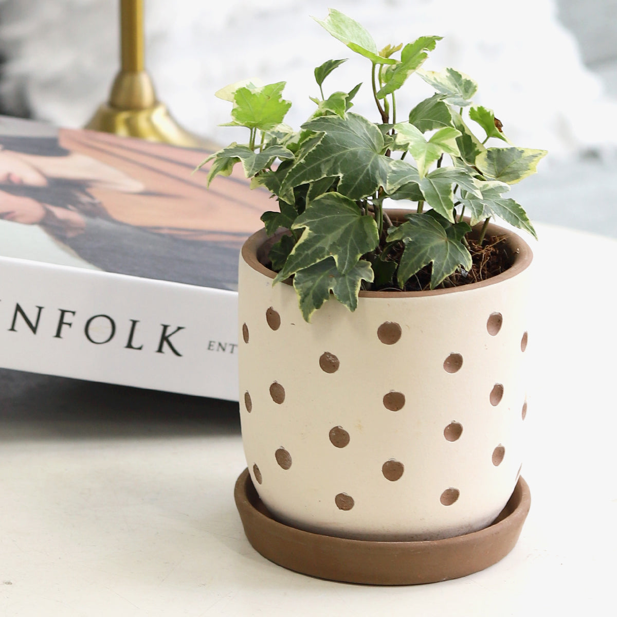 plant pot near me Clay White Polka Dot Planter with Drainage Hole, Succulent Terracotta Pot for Sale