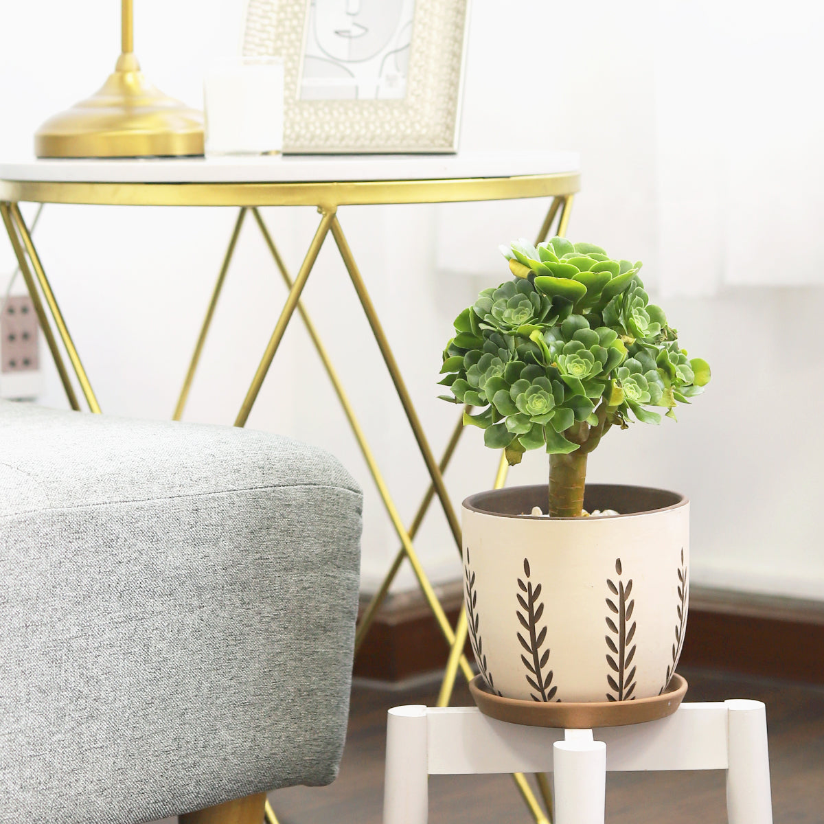 where to buy cheap terracotta pots, unique terracotta pots, Vertical Leaf Pattern Pot with drainage hole and saucer