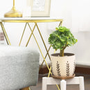 indoor terracotta planter, indoor terracotta planter for sale, buy indoor terracotta planter online, indoor terracotta planter for succulents and houseplants