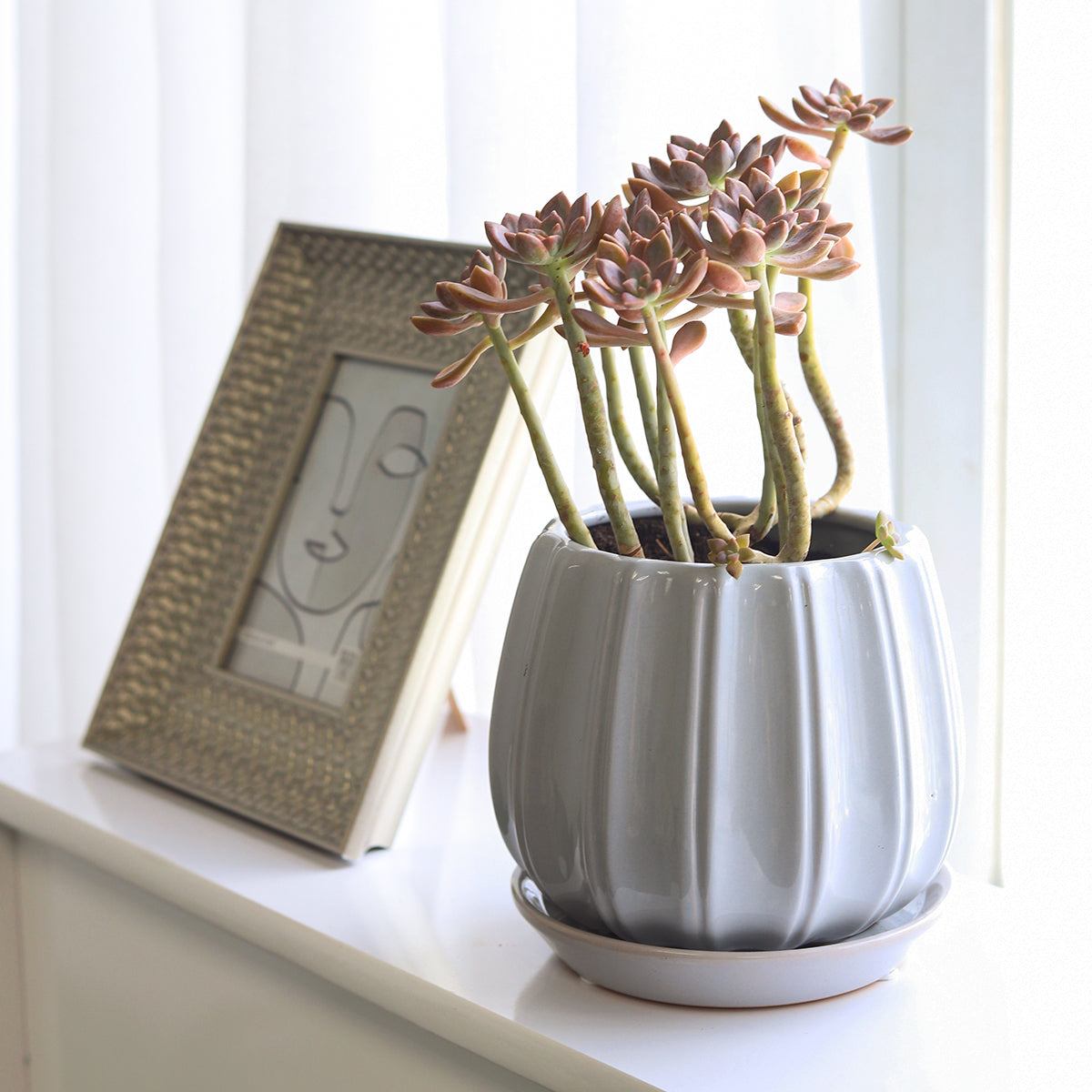 grey plant pots indoor 6 inch Grey Glazed Ceramic Contour Planter - Buy Ceramic Pot Online