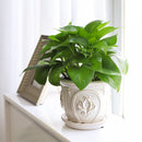 ceramic planter, classic pattern planter, white ceramic planter, 6 inch ceramic planter, classic ornate ceramic planter, houseplant pot, white ceramic embossed pattern planter