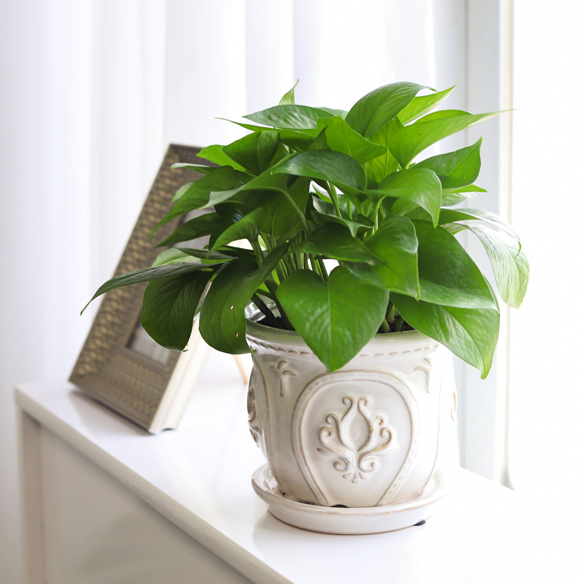 ceramic planter, classic pattern planter, white ceramic planter, 6 inch ceramic planter, classic ornate ceramic planter, houseplant pot, unique patter plant pot for home decor