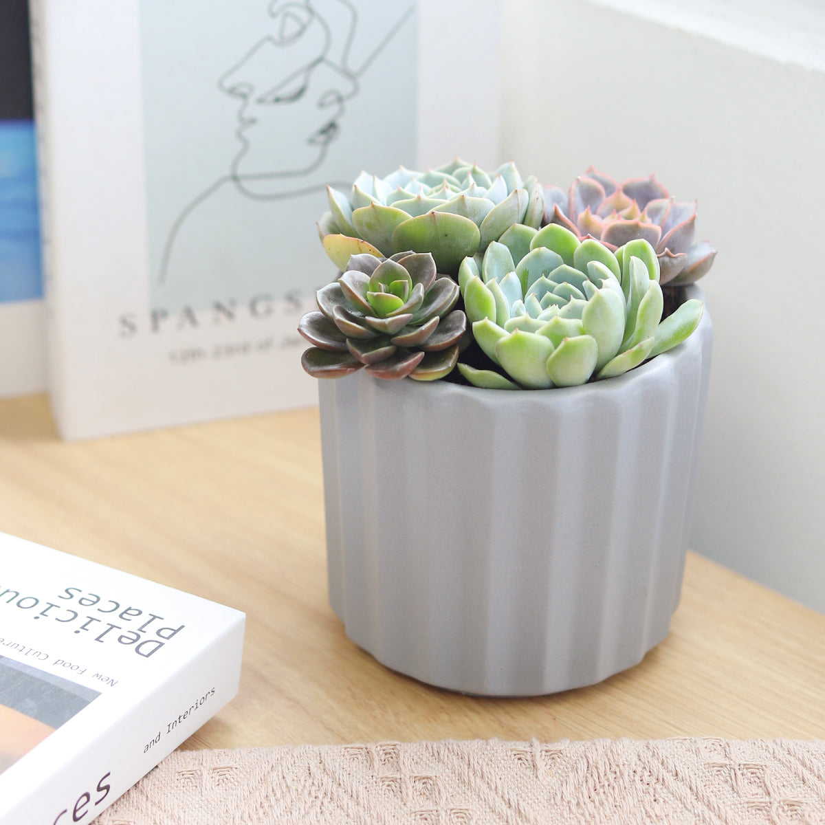 Succulent Arrangement in Grey Ceramic Faux Cement, rosette succulents, colorful succulents, stunning succulent arrangement for home and office decor, succulents