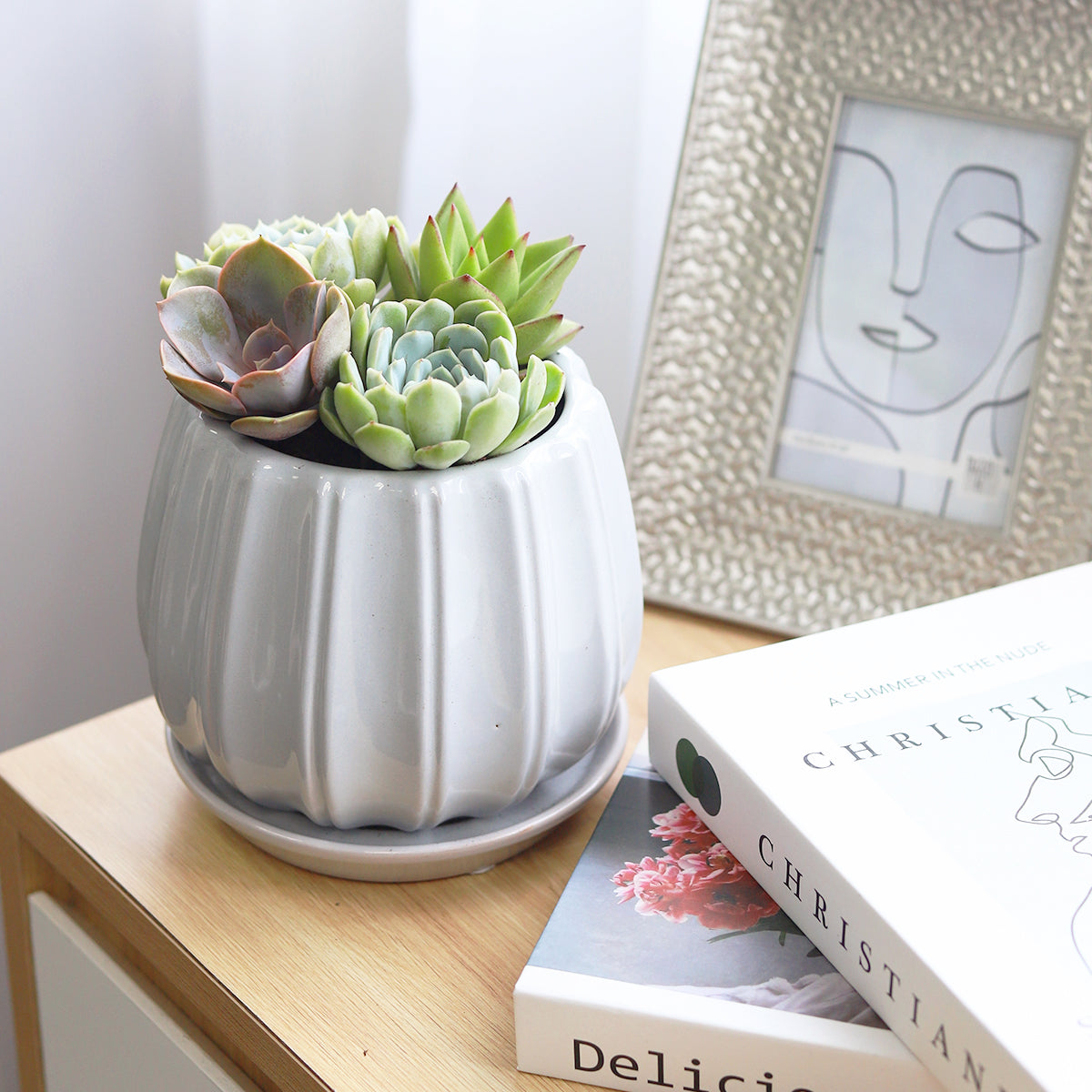 rosette succulents, colorful succulents, stunning succulent arrangement for home and office decor, succulents