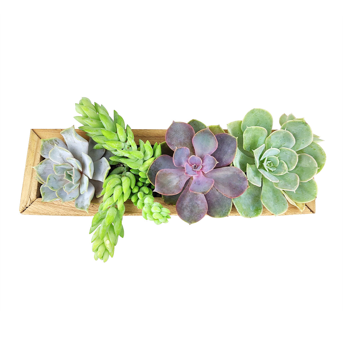 faux succulents in rectangular planter Succulent Arrangement Centerpiece Rectangle Wooden Planter