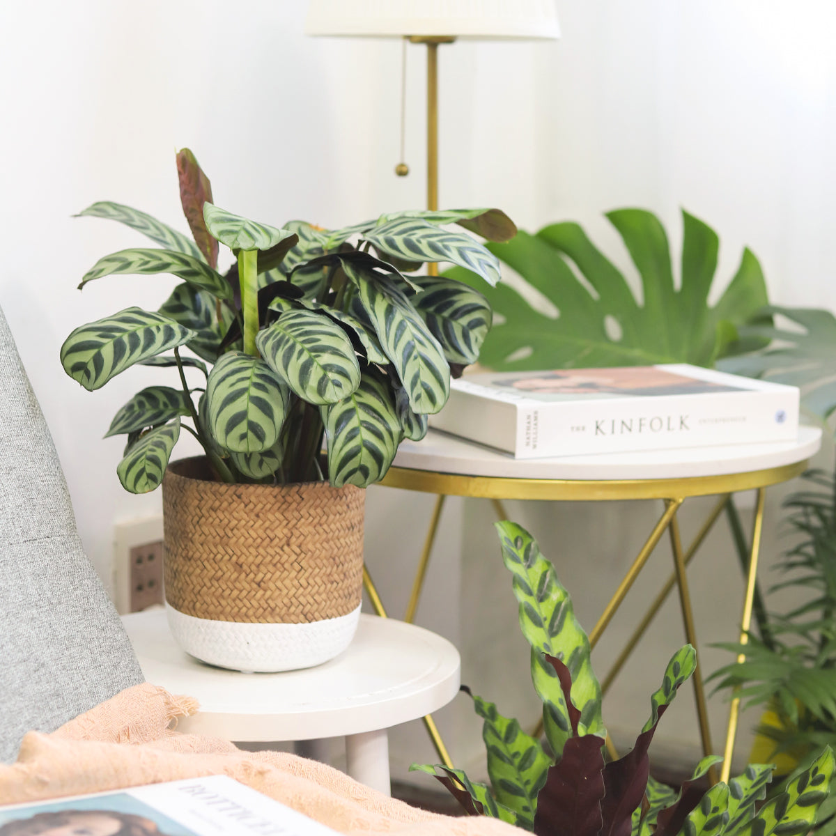 white cement plant pots 6 inch White & Nature Reed Round Cement Planter - Plant Pot for Sale