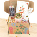 Holiday Gift Box - 1 Succulent 1 Sparkler and 1 Confetti Popper