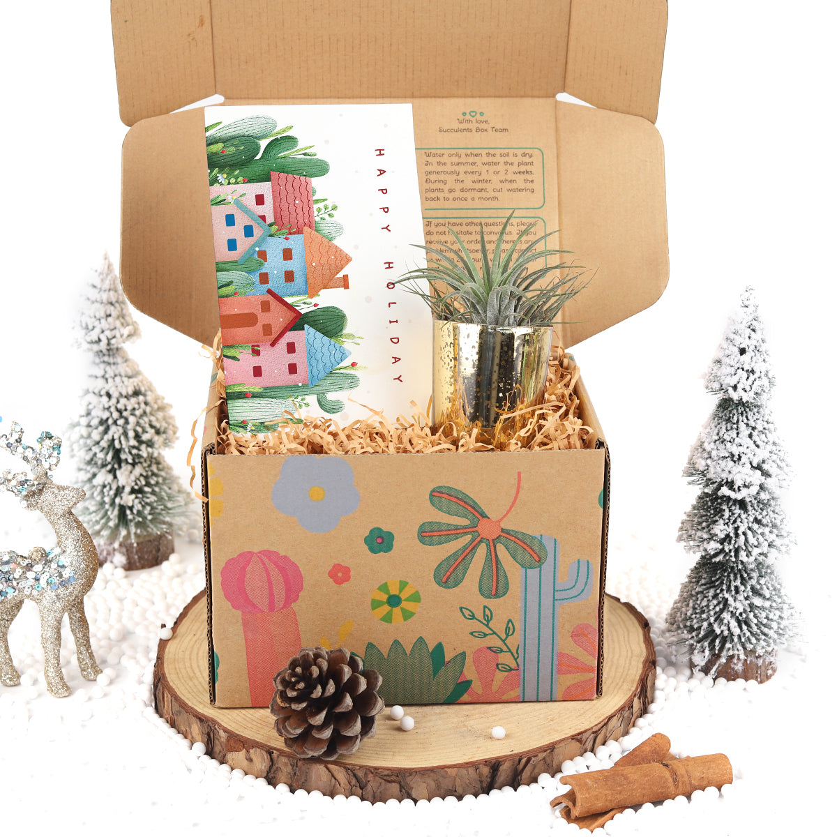EcoFriendly Succulent Gift Box for Employee, Succulents and cactus make awesome wedding favors, Succulent gifts are a great choice for any wedding 2025